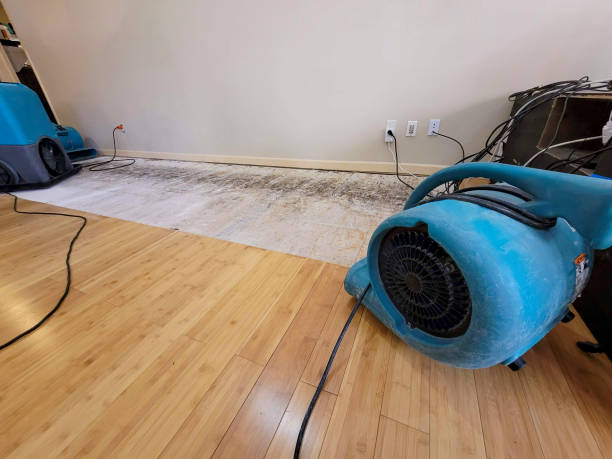 Professional Ceiling Water Damage Repair technician working in Watkinsville, GA